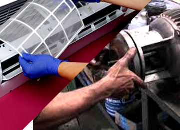 Our Services